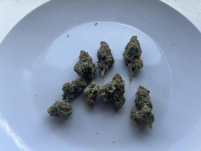 Melon Maki Watermelon Gelato x BlueZushi. Week 15