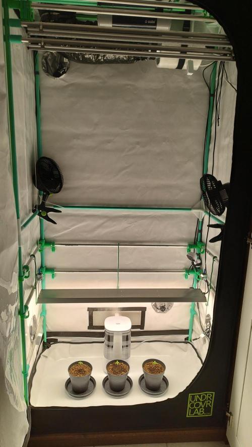 Back 2 Future (Bud Voyage). Week 1