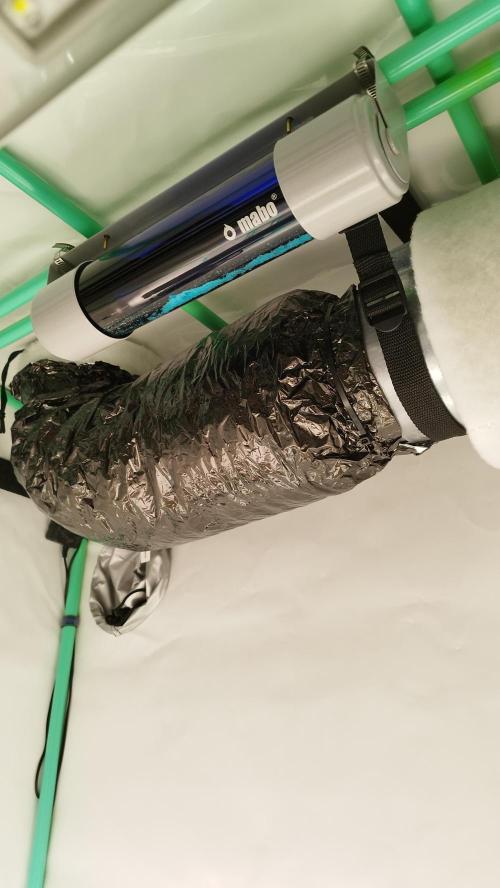 Back 2 Future (Bud Voyage). Week 0