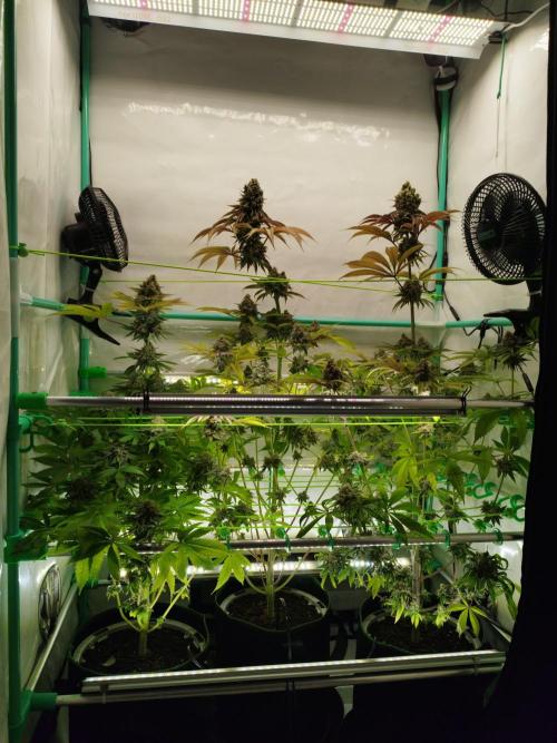 Back 2 Future. Week 16