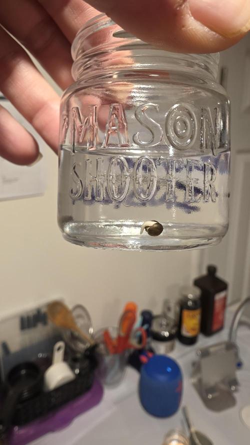 Pure Nirvana Photo Grow. Week 0 - Day 2: After 36 hours, all  had at least 2 seeds with tap roots, except WW.