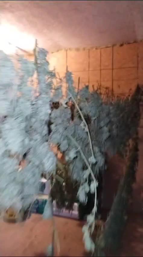 Wedding Cheesecake Fast