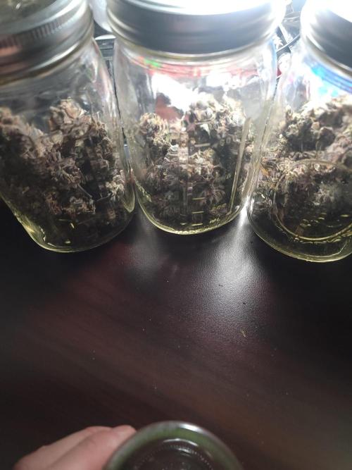  Forgot The Gas (Amnesia HazexNYC Deisel. Week 23