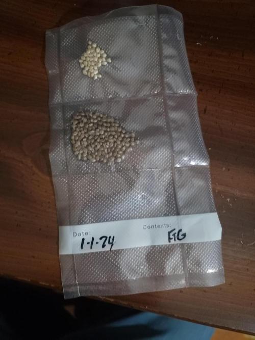Forgot the gas. Week 23