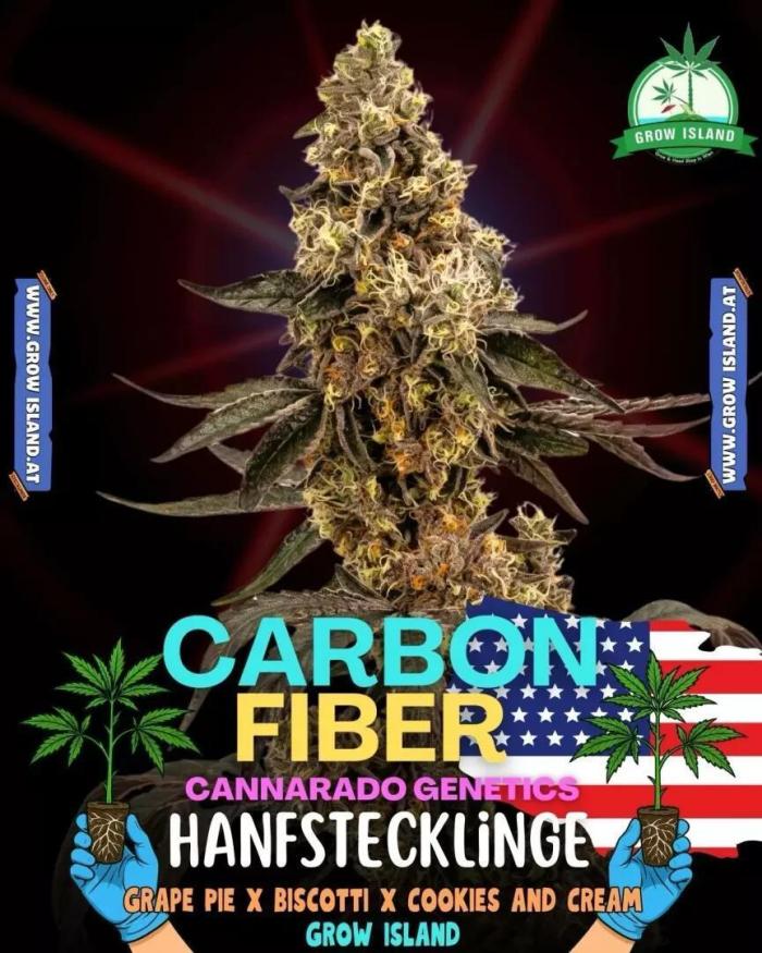 Carbon Fiber - Micro Grow. Week 1