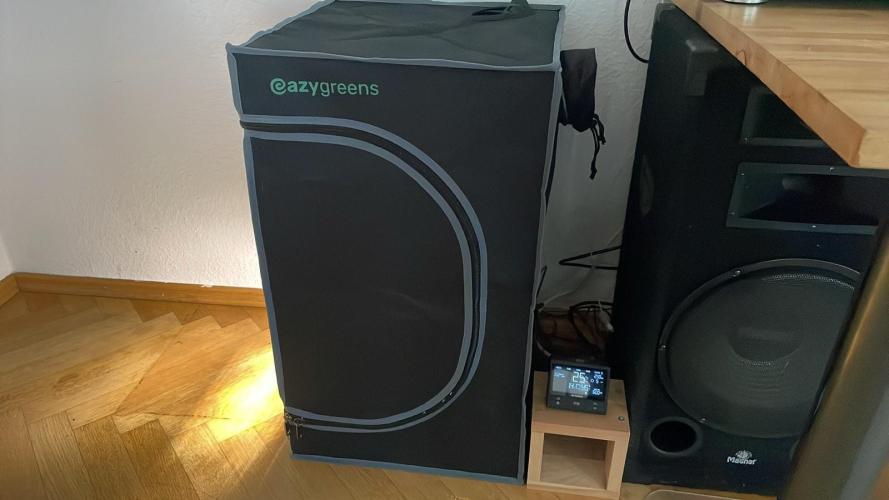 Cap Junky - Micro Grow. Week 4