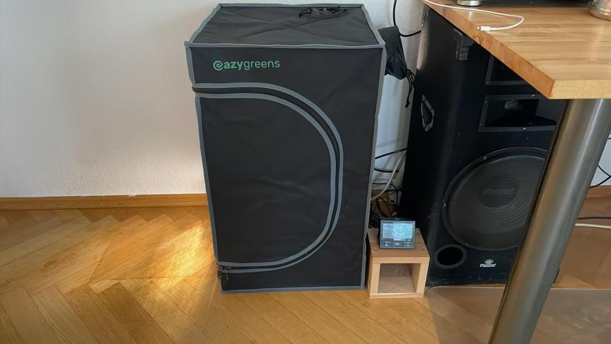 Cap Junky - Micro Grow. Week 5