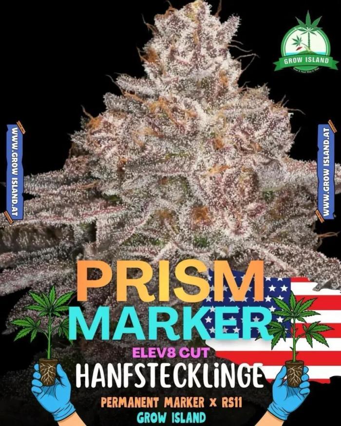 Prism Marker - Micro Grow. Week 1