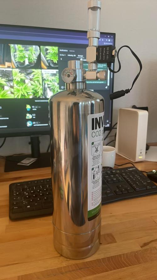 Blue Zushi - MicroGrow. Week 3 - next week then