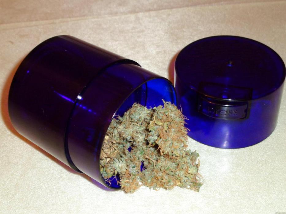 Auto Jack - MicroGrow. Week 10