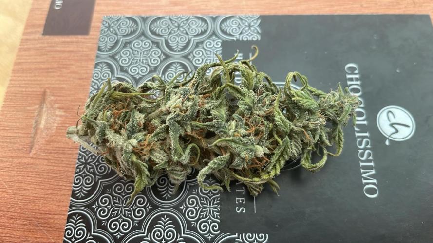 Blue Zushi - MicroGrow. Week 9 - the high is excellent
