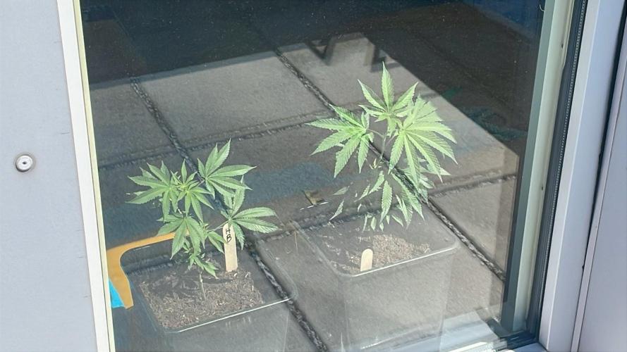Super Boof. Week 3