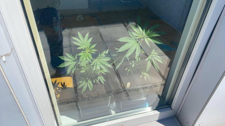 Super Boof. Week 4