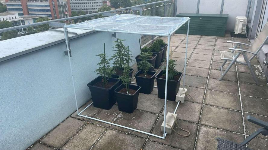 Permanent Marker XL Auto - Outdoor 26. Week 8