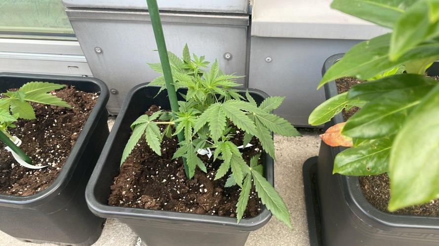 Super Boof XL Auto - Outdoor 26. Week 4