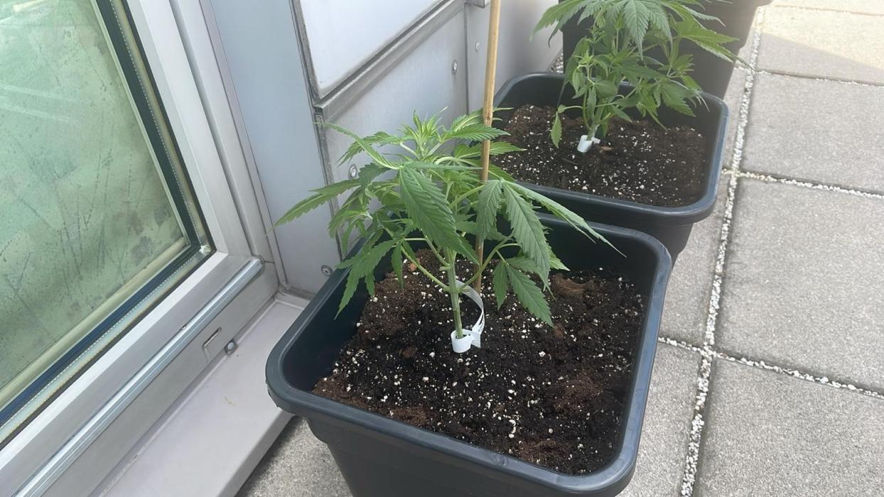 Permanent Marker XL Auto #2 - Outdoor 26. Week 4