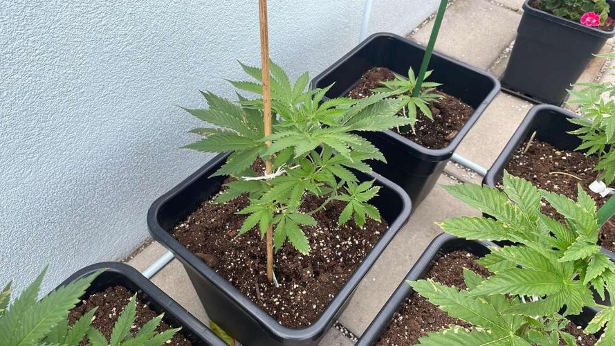Permanent Marker XL Auto #2 - Outdoor 26. Week 5