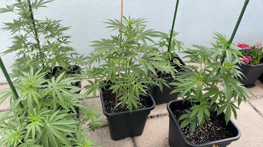 Permanent Marker XL Auto #2 - Outdoor 26. Week 7