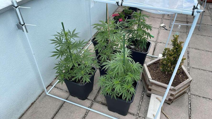 Permanent Marker XL Auto #2 - Outdoor 26. Week 7