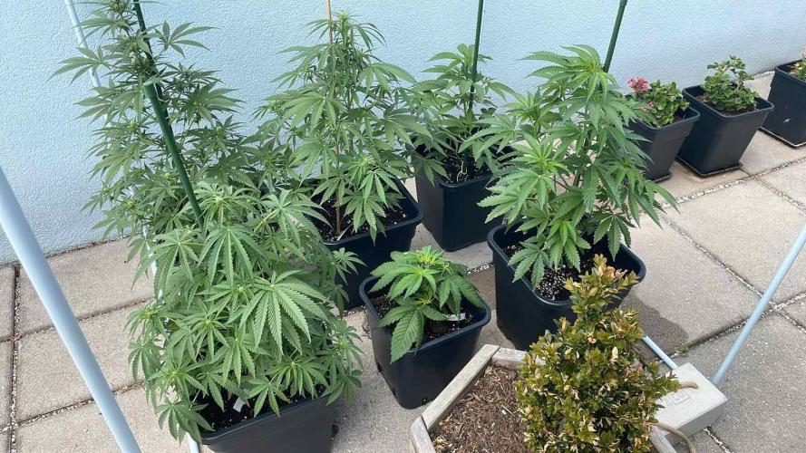 Blue Zushi - Outdoor 26. Week 4