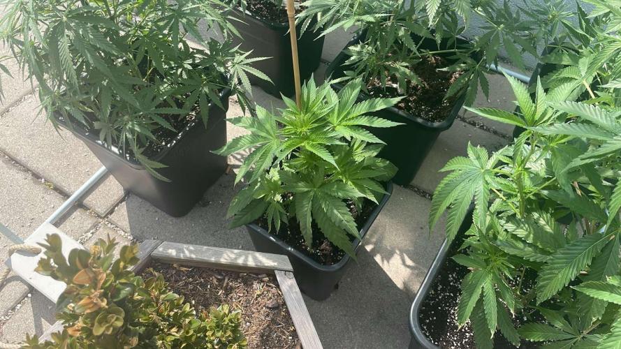 Blue Zushi - Outdoor 26. Week 5