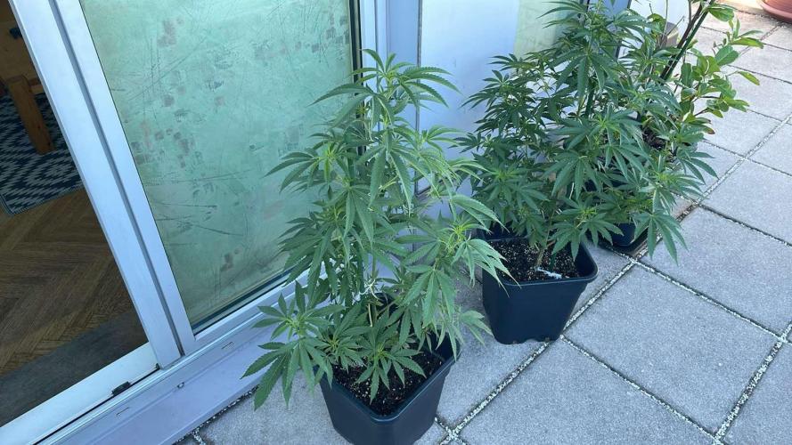 Zoap - Outdoor 26. Week 9