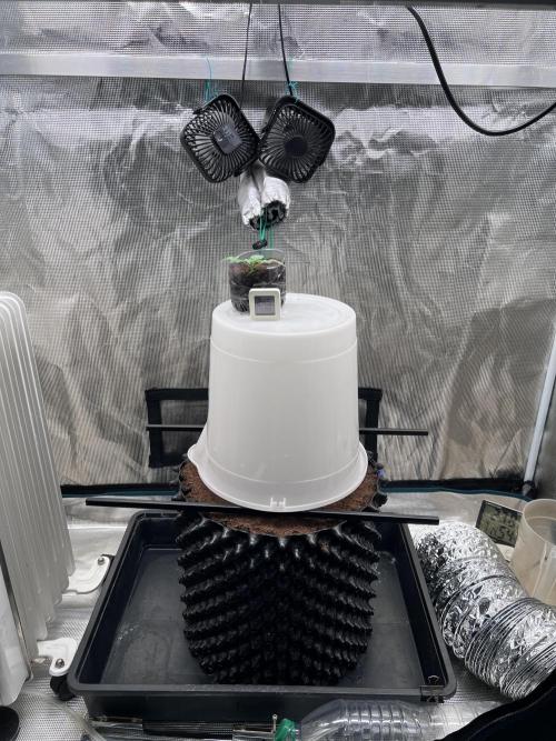 Zillions (Barneys). Week 1