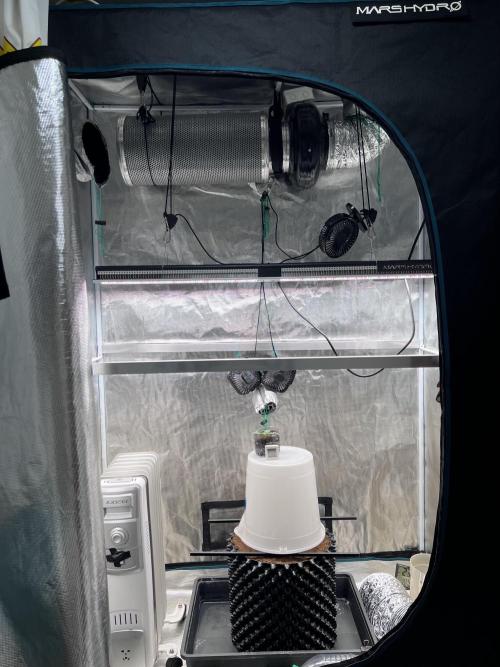 Zillions (Barneys). Week 1