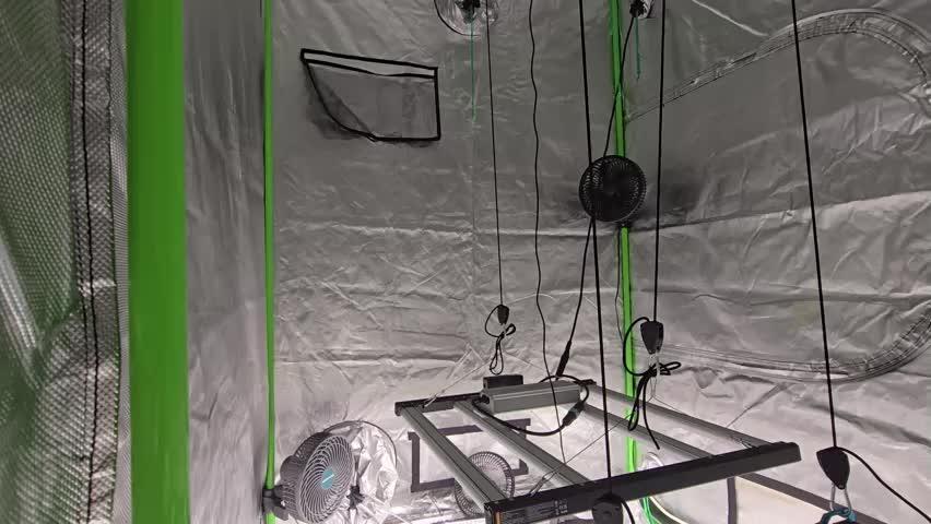 Fasbuds Autoflower 3 Strains