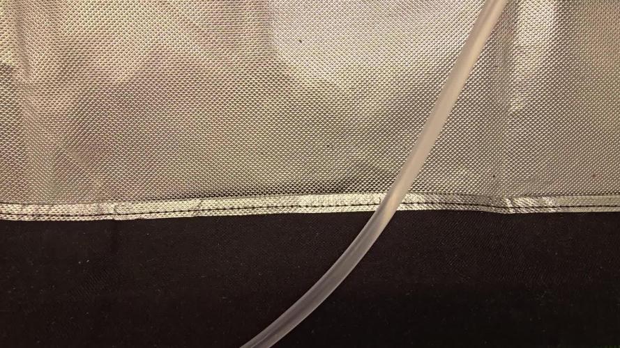 Fasbuds Autoflower 3 Strains