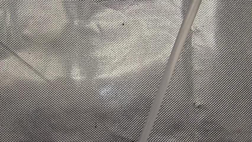 Fasbuds Autoflower 3 Strains