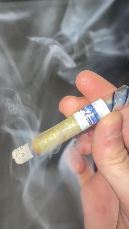 1. GROW - JUNGLEBOYS - ANIMAL TSUNAMI. Week 14