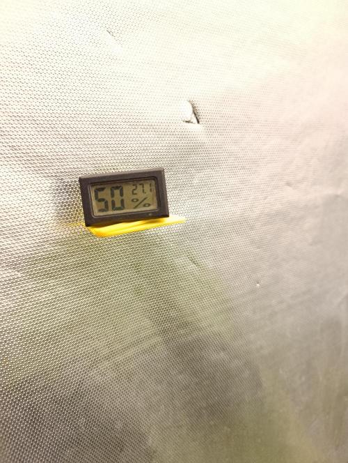 Mimosa x Orange Punch. Week 3 - VPD~ 1.7 , nice for this stage.