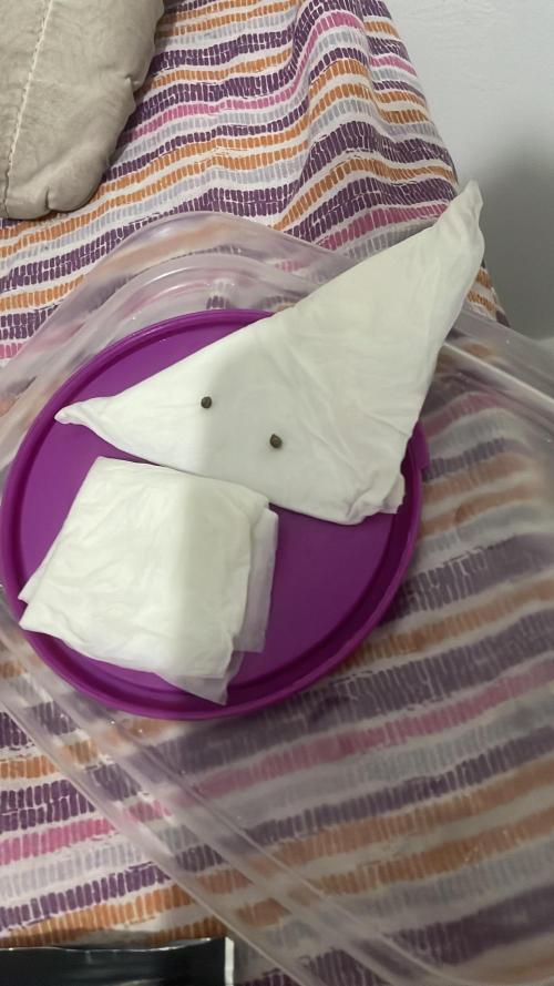 UniversityHome. Week 0