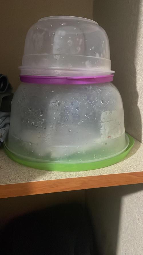 UniversityHome. Week 0