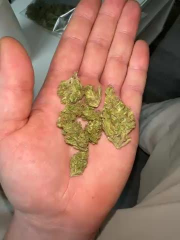 Z-Up Auto Outdoor 420 Fast Buds