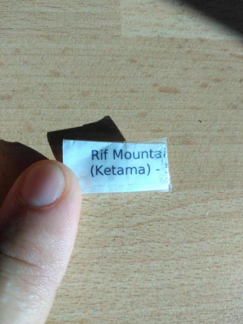 Beldia – Montagne du Rif (Ketama). Week 0