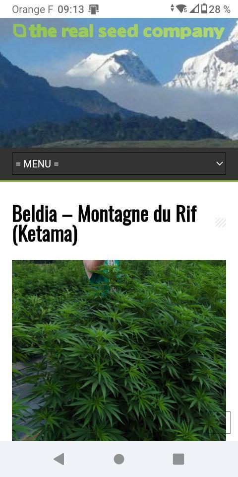 Beldia – Rif mountains (Ketama). Week 2