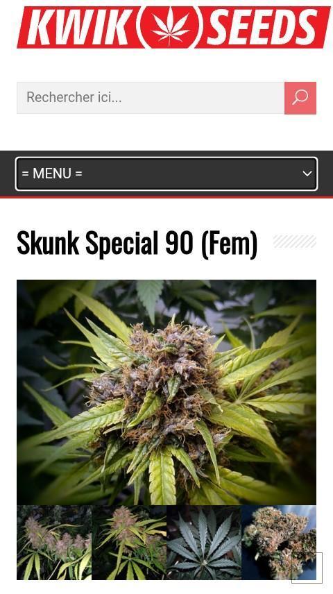 Skunk Special 90 (Fem). Week 0