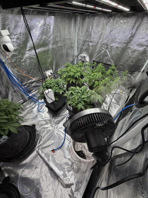 Auto pot run #1. Week 5