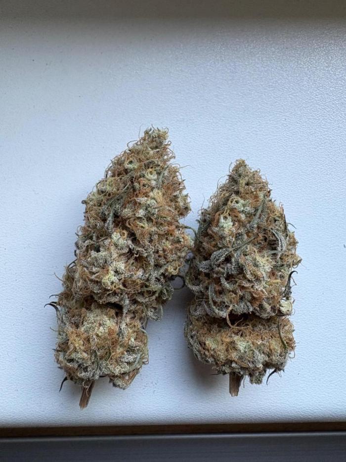 Solfire X Blackfarm X ExoticX GHS🍋🍒⛽️. Week 15