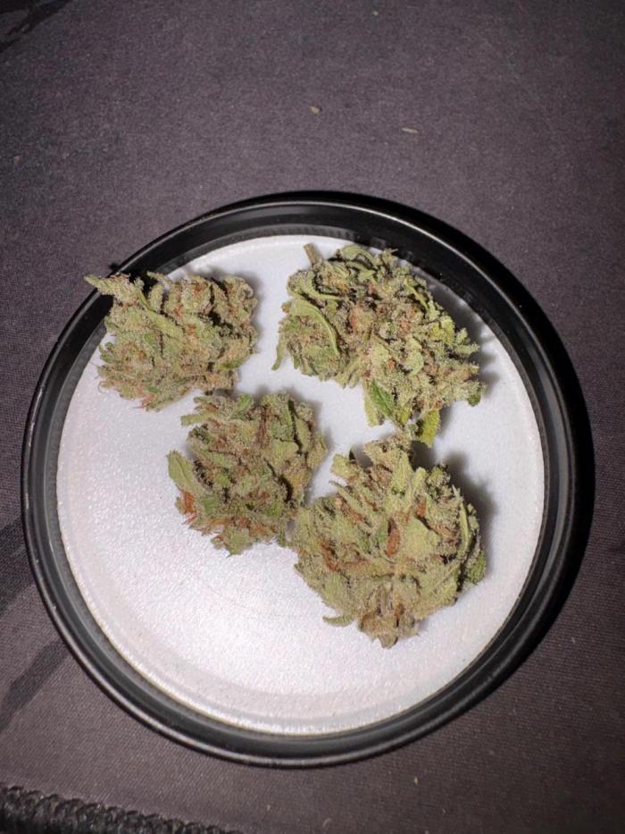Outdoor Fastbuds🍰❄️. Week 9 - Very pine and little bit sweet