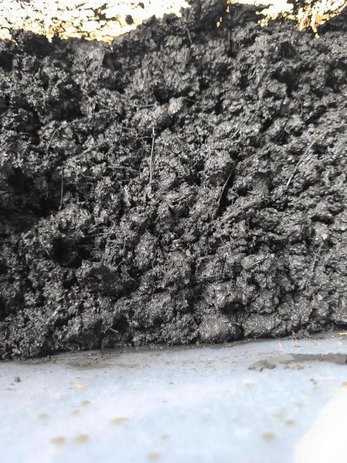 Hou_Stone Living Soil Creation. Week 0 - Biochar Activation 21/02/2026