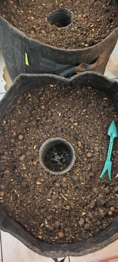 Hou_Stone Living Soil Creation. Week 0 - 03/03/2026