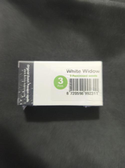 White Widow - 50L Organic. Week 0