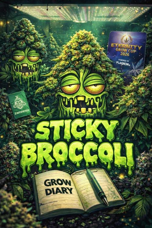 Sticky Broccoli: Cup Run Chronicles. Week 0 - Sticky Broccoli