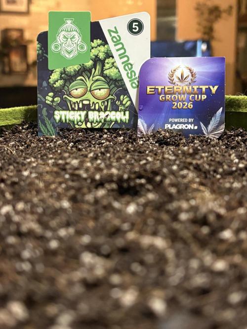 Sticky Broccoli: Cup Run Chronicles. Week 0 - Say baked for the camera