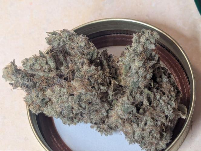 Frosted Flakes x True Blood. Week 15