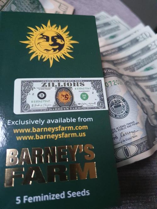 Zillions - Barney's Farm. Week 0