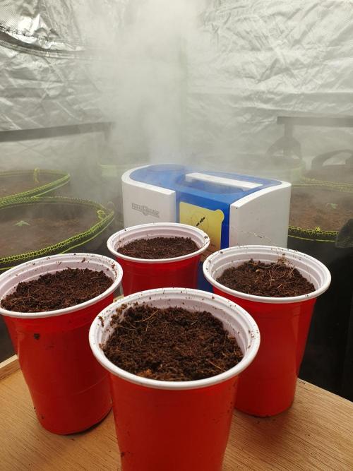 Zillions - Barney's Farm. Week 0